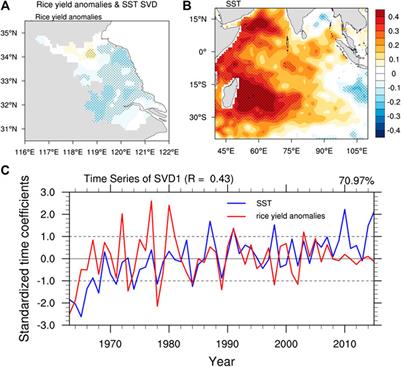 Impacts of Indian Ocean Dipole–Like SST on Rice Yield Anomalies in Jiangsu Province